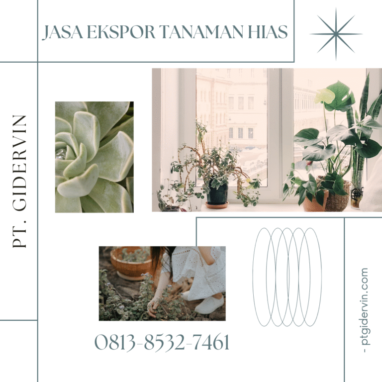 Jasa Ekspor Tanaman Hias: Peluang Besar di Balik Daun Hijau