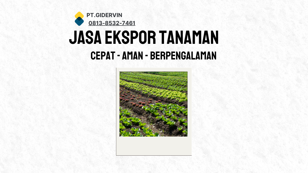 Jasa Export Tanaman