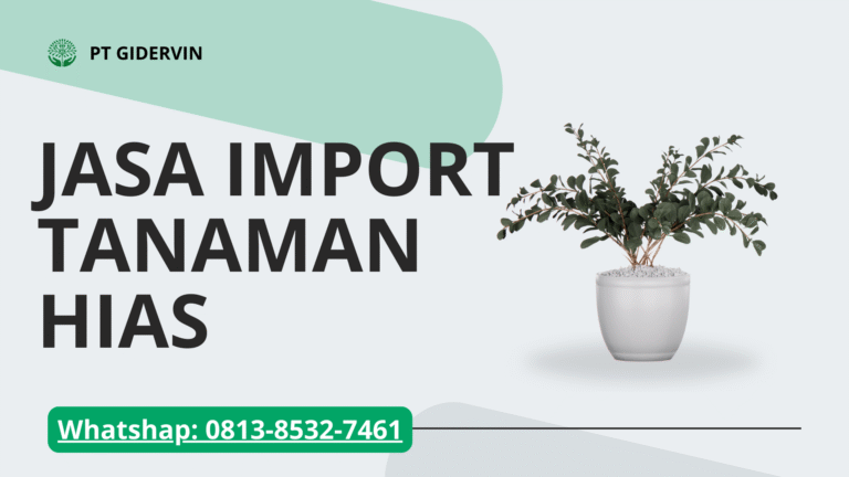 Jasa Import Tanaman Hias: Solusi Mudah Mendatangkan Tanaman Eksotis