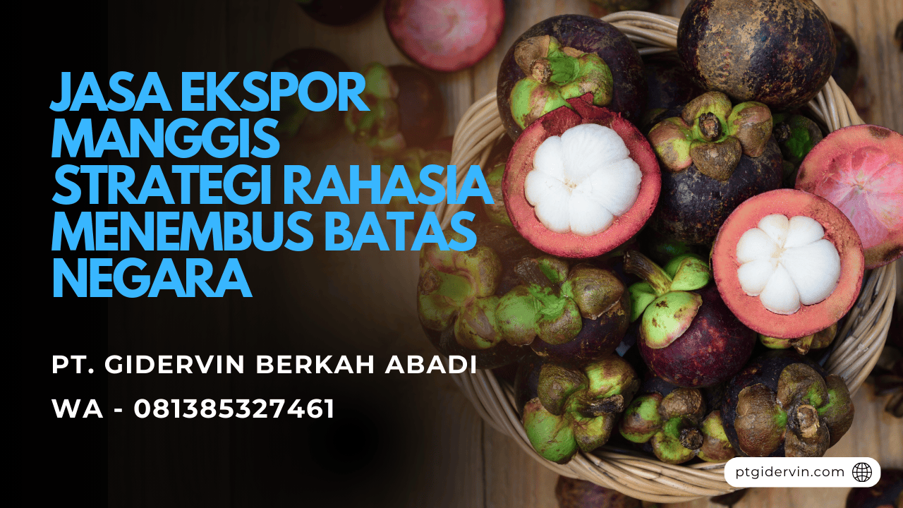 Jasa Ekspor Manggis Strategi Rahasia Menembus Batas Negara