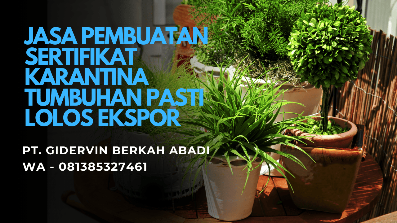 Jasa Pembuatan Sertifikat Karantina Tumbuhan