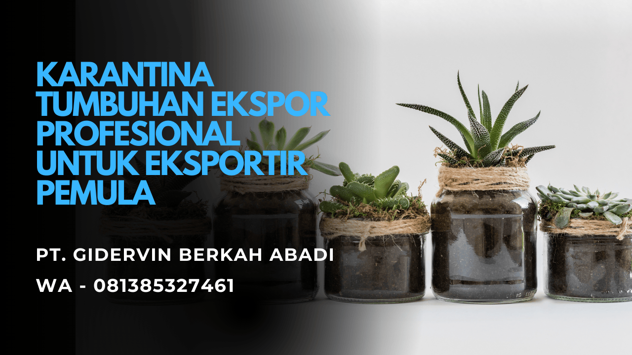 Karantina Tumbuhan Ekspor Profesional untuk Eksportir Pemula