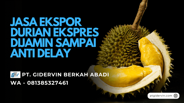 Jasa Ekspor Durian
