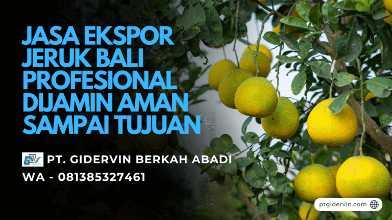 Jasa Ekspor Jeruk Bali