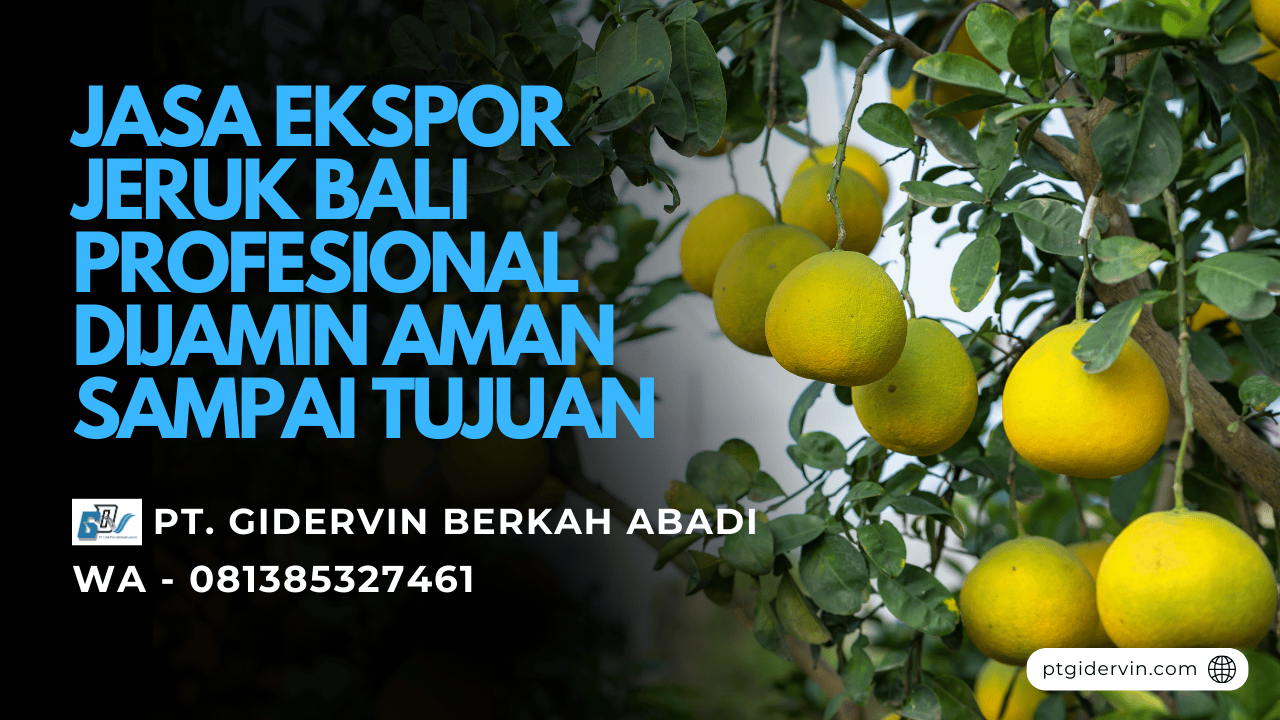 Jasa Ekspor Jeruk Bali