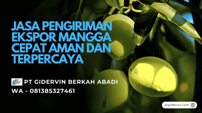 Jasa Pengiriman Ekspor Mangga