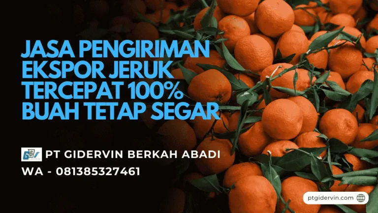 Jasa Pengiriman Ekspor Jeruk