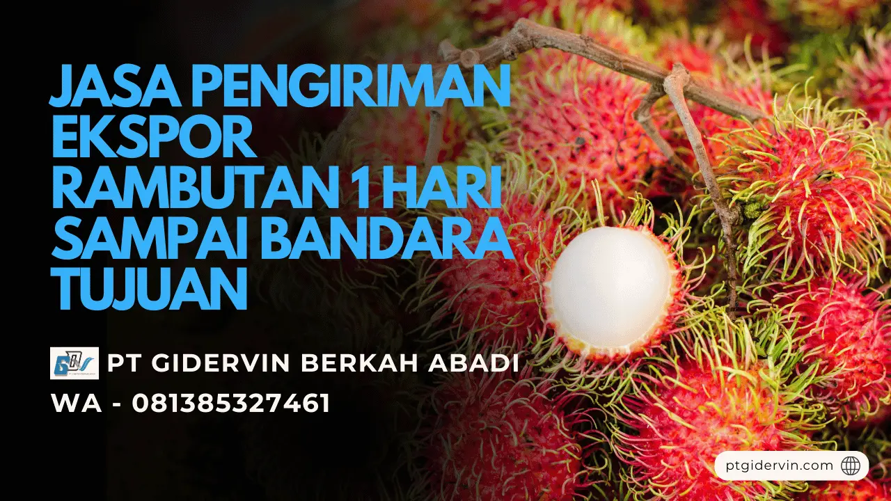 Jasa Pengiriman Ekspor Rambutan